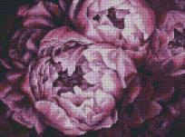 Opakowanie Diamentowy mozaika - Królewskie piwonie 30x40cm