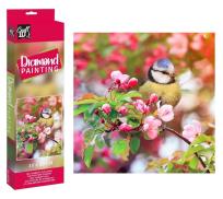 Opakowanie Diametowy obraz - Ptak 30x30cm