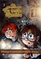 Okładka książki Dlaczego w piwnicach praskich straszy?