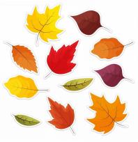 Opakowanie Drekoracja jesienna - Liście 12el