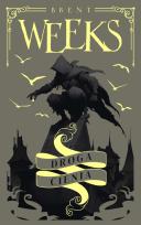 Okładka książki Droga Cienia. Trylogia Anioła Nocy. Tom 1