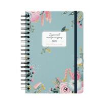 Opakowanie Dziennik motywacyjny 2023 Niebieski ALBI