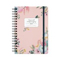 Opakowanie Dziennik motywacyjny 2023 Różowy ALBI