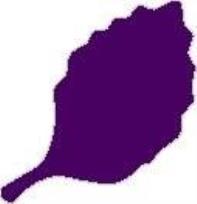 Opakowanie Dziurkacz ozdobny - Liść 7,6cm