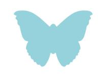 Opakowanie Dziurkacz ozdobny Motyl 5cm