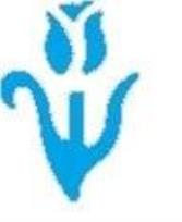 Opakowanie Dziurkacz ozdobny - Tulipan 2,5cm