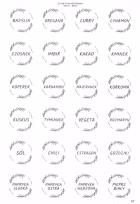 Opakowanie Etykiety na przyprawy białe 40mm 168szt