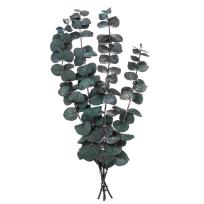 Opakowanie Eukaliptus baby blue 4 gałązki ok. 20cm zielony