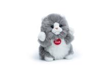 Opakowanie Fluffy Cat Kotek