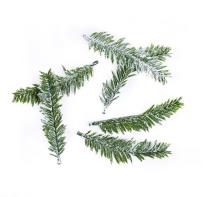 Opakowanie Gałązki jodły 9,5cm 6szt