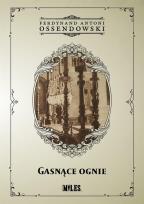 Okładka książki Gasnące ognie