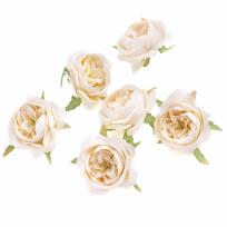 Opakowanie Główki kwiatowe kamelii kremowe 6szt.