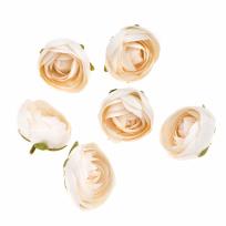 Opakowanie Główki kwiatowe piwonii ecru 6szt.