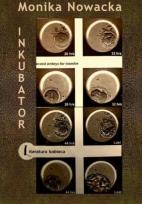 Okładka książki Inkubator