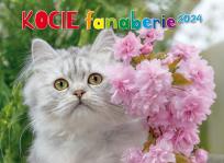 Opakowanie Kalenadarz 2024 ścienny albumowy kocie fanaberie KSA-V.2