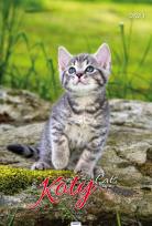 Opakowanie Kalendarz 2023 A3 Koty AVANTI