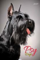 Opakowanie Kalendarz 2023 A3 Psy AVANTI