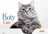 Opakowanie Kalendarz 2023 Albumowy Koty AVANTI