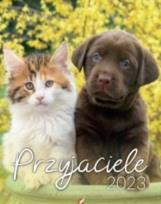 Opakowanie Kalendarz 2023 B4 Przyjaciele ARTSEZON