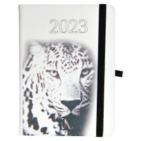 Opakowanie Kalendarz 2023 B6 tyg. Hip hop tygrys ELEFANT