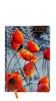 Opakowanie Kalendarz 2023 foto A5 dzienny  v5