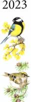 Opakowanie Kalendarz 2023 Nasze ptaki