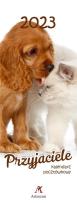 Opakowanie Kalendarz 2023 Pocztówkowy Przyjaciele ARTSEZON
