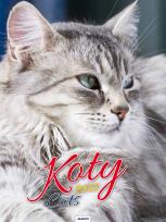 Opakowanie Kalendarz 2023 Ścienny Koty AVANTI