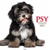 Opakowanie Kalendarz 2023 Ścienny Psy AVANTI