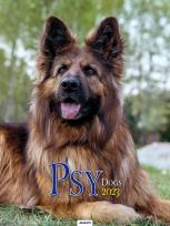 Opakowanie Kalendarz 2023 Ścienny Psy AVANTI