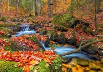 Opakowanie Kalendarz 2023 Trójdzielny Strumień