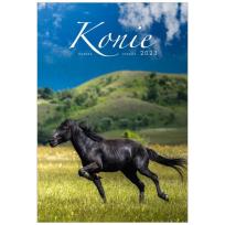 Opakowanie Kalendarz 2023 Wieloplanszowy Konie
