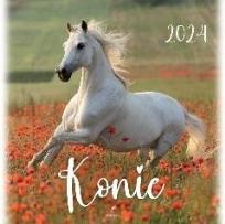 Opakowanie Kalendarz 2024 Konie