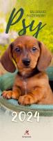 Opakowanie Kalendarz 2024 pocztówkowy Psy