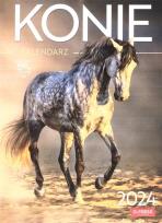 Opakowanie Kalendarz 2024 Psy