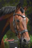 Opakowanie Kalendarz 2024 Ścieny Konie