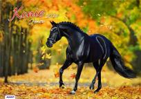 Opakowanie Kalendarz 2024 Ścieny Konie