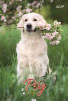 Opakowanie Kalendarz 2024 Ścieny Psy