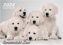 Opakowanie Kalendarz 2024 Szczeniaki lux ścienny