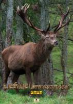 Okładka książki Kalendarz 2025 A2 ścienny Leśne Uroczyska