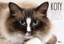 Opakowanie Kalendarz 2025 albumowy Koty