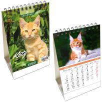 Opakowanie Kalendarz 2025 biurkowy pion Koty
