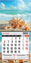 Okładka książki Kalendarz 2025 jednodzielny mini z mag. Muszelki