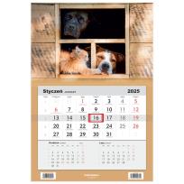 Opakowanie Kalendarz 2025 Jednodzielny Psy i kociak