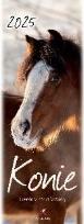 Opakowanie Kalendarz 2025 pocztówkowy Konie