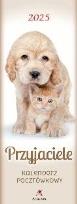 Opakowanie Kalendarz 2025 pocztówkowy Przyjaciele biały