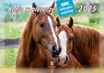 Okładka książki Kalendarz 2025 Rodzinny Konie w plenerze