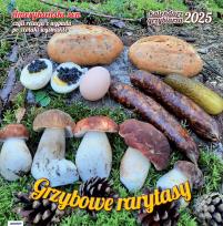 Okładka książki Kalendarz 2025 ścienny albumowy Grzybiarza