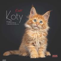 Okładka książki Kalendarz 2025 ścienny albumowy Koty