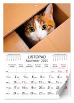 Opakowanie Kalendarz 2025 ścienny Lux Koty